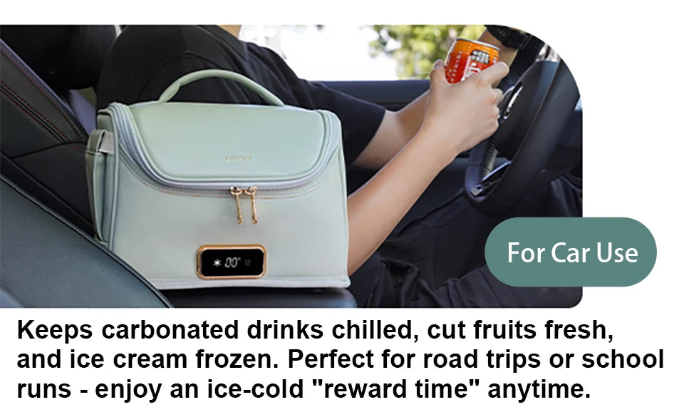 12V/220V Mini Car Refrigerator Portable Cooler Warmer Soft Bag for Travel Home Use