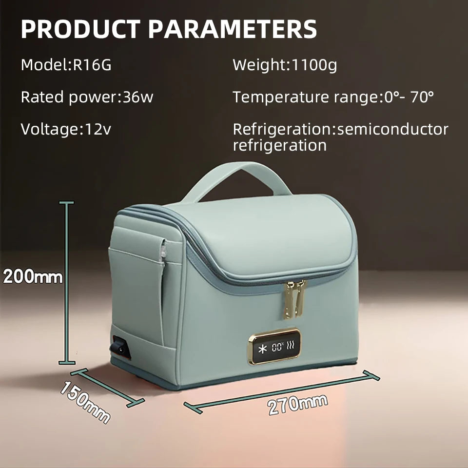 12V/220V Mini Car Refrigerator Portable Cooler Warmer Soft Bag for Travel Home Use