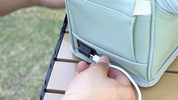 12V/220V Mini Car Refrigerator Portable Cooler Warmer Soft Bag for Travel Home Use