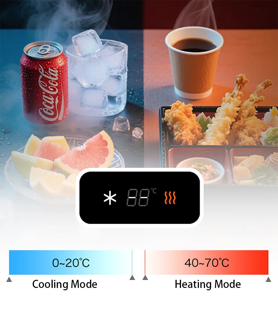 12V/220V Mini Car Refrigerator Portable Cooler Warmer Soft Bag for Travel Home Use