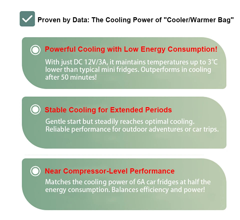 12V/220V Mini Car Refrigerator Portable Cooler Warmer Soft Bag for Travel Home Use