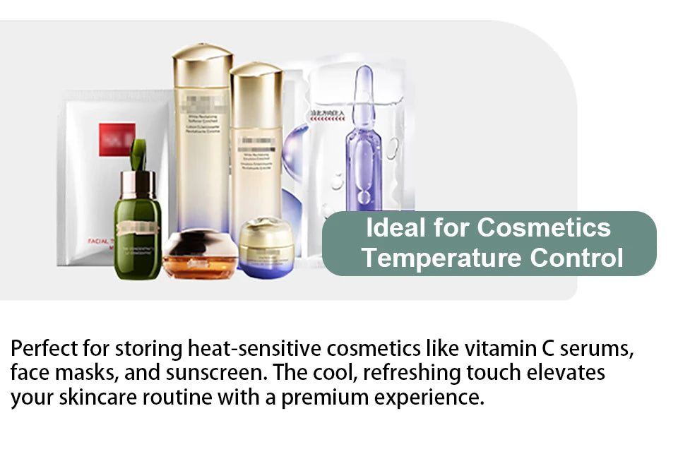 12V/220V Mini Car Refrigerator Portable Cooler Warmer Soft Bag for Travel Home Use