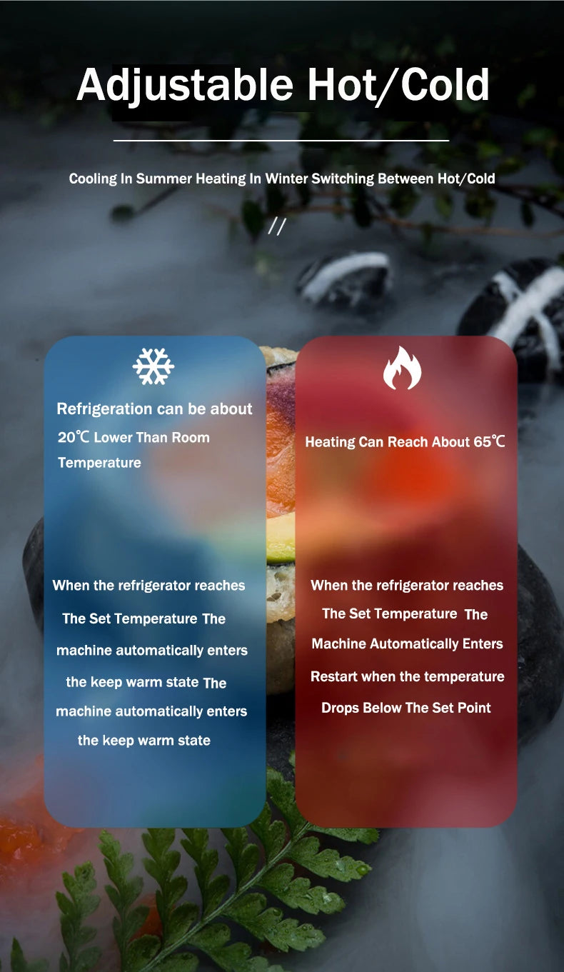 TAVALER 6L Mini Car Refrigerator USB Cooler & Warmer Portable Skin Care Fridge Home Use